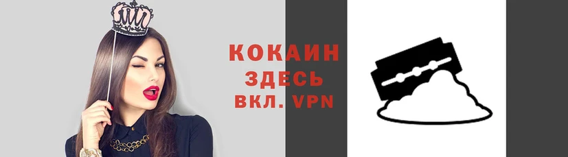 стафф Богородицк