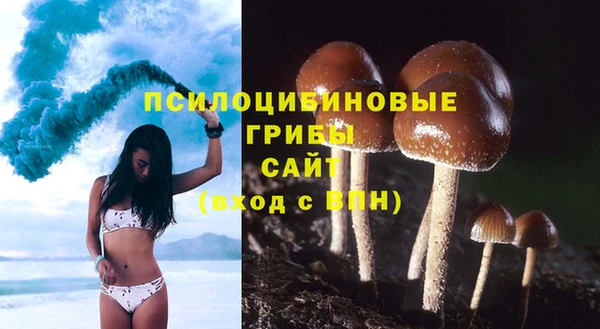 меф Богданович