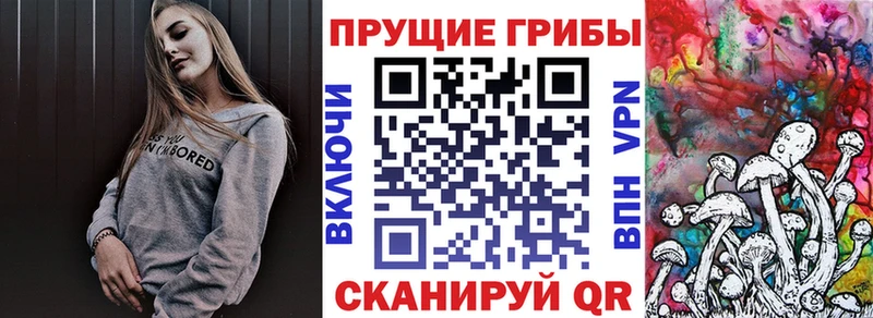 купить закладку  Нарьян-Мар  Псилоцибиновые грибы Psilocybine cubensis 